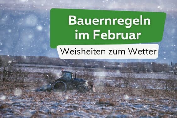 Bauernregeln im Februar Titel