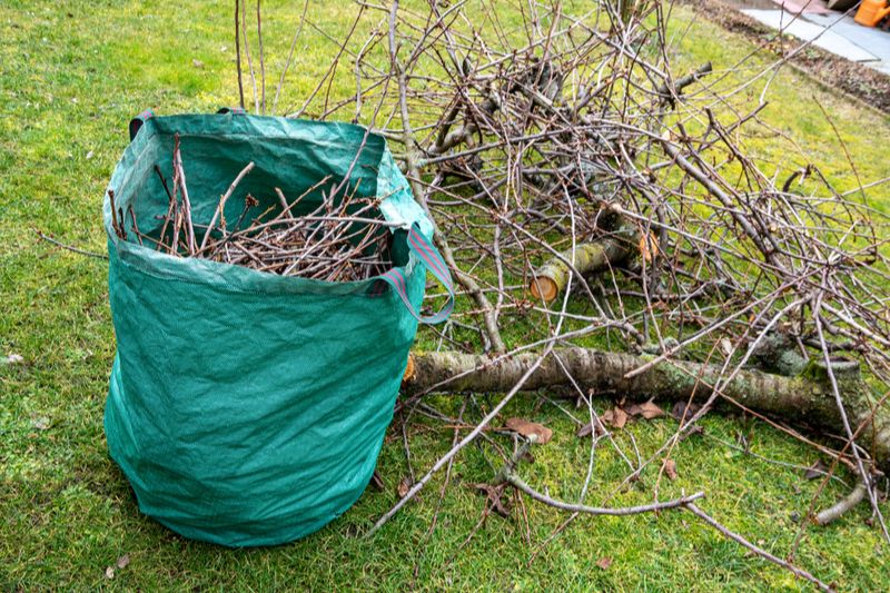 Baumschnitt im Garten im Sack