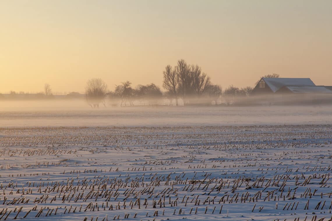 Feld im Winter bei Sonnenaufgang