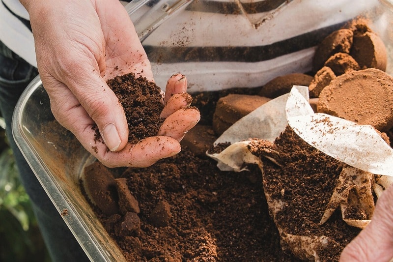 Frau bringt getrockneten Kaffeesatz aus