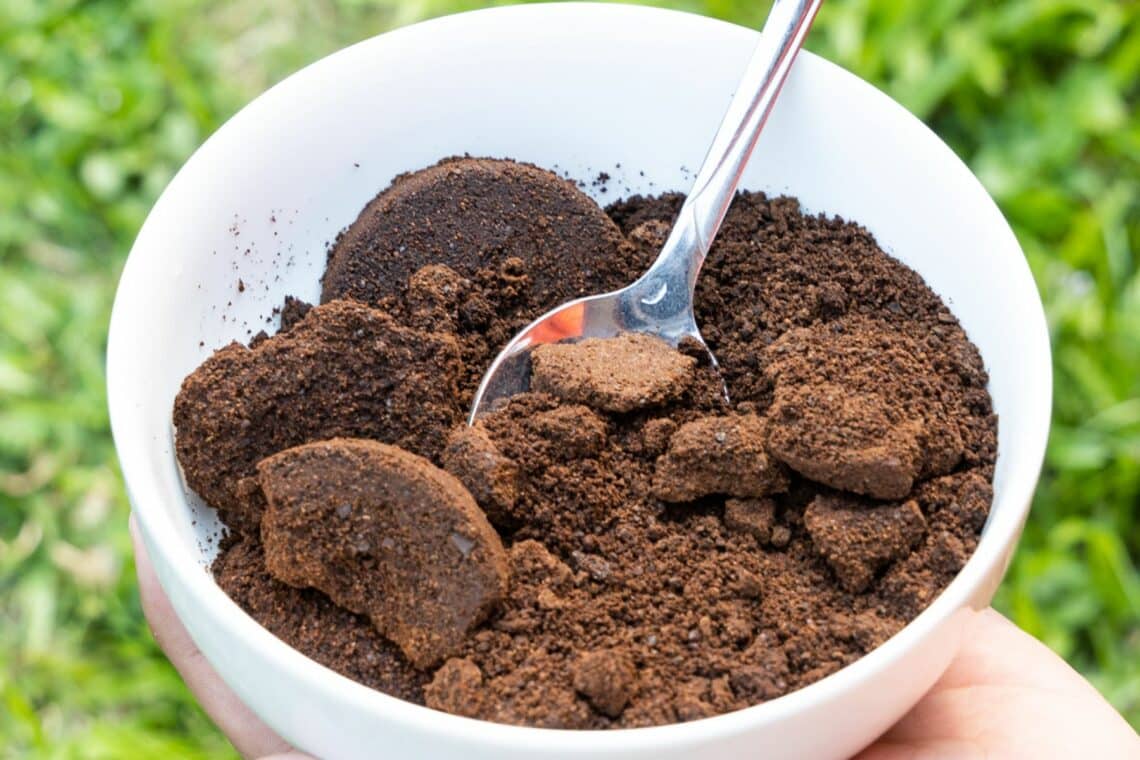 Getrockneter Kaffeesatz in Schale als Dünger