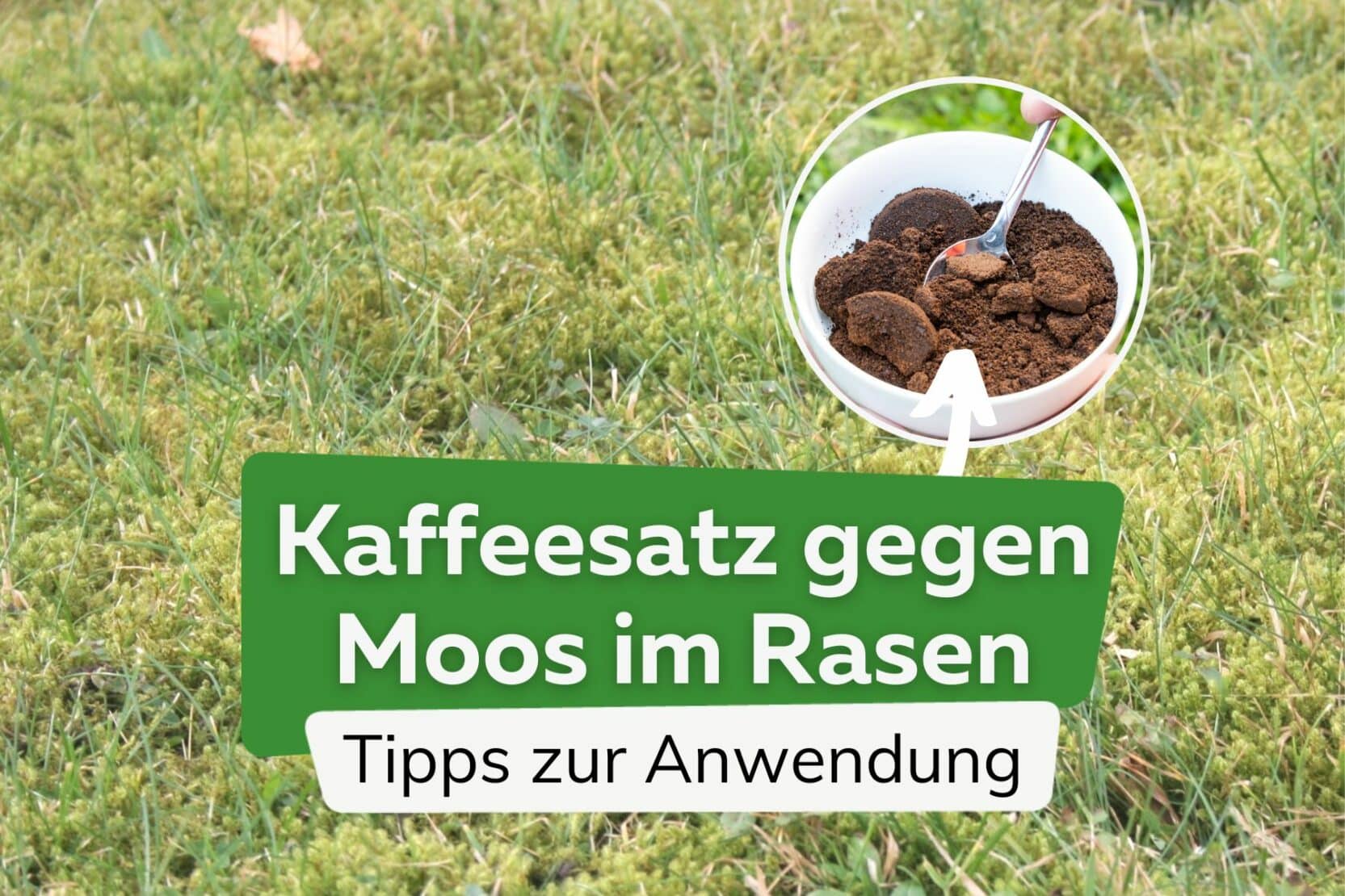 Rasen düngen im Frühjahr ab wann und womit? Die ideale Temperatur