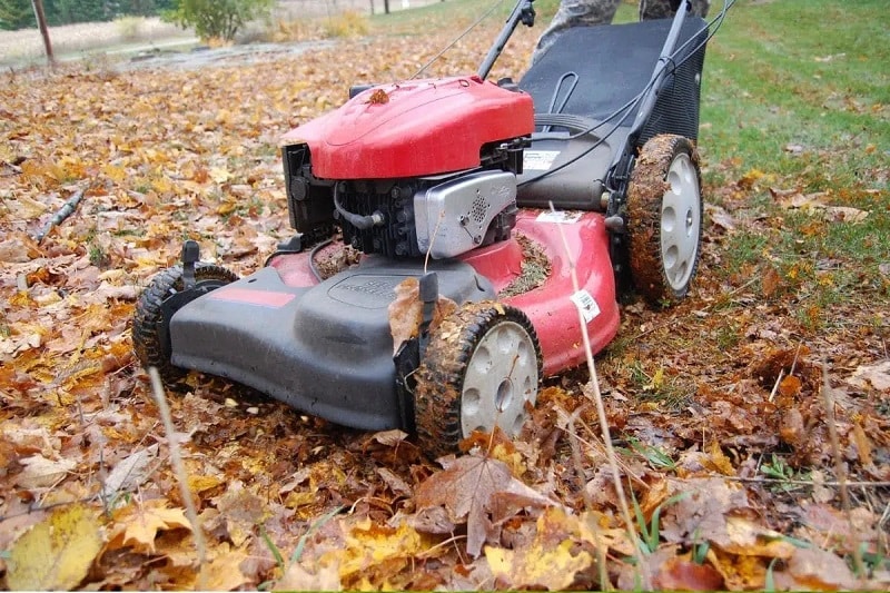 Rasen mähen im Herbst