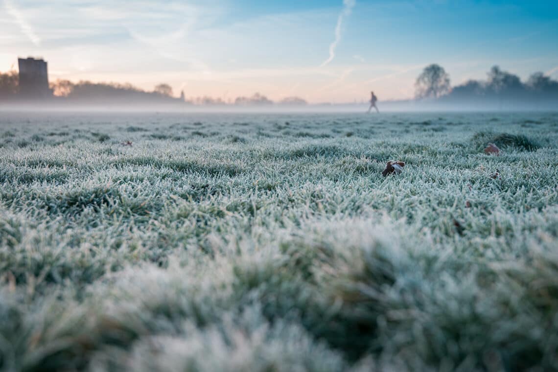 Wiese im Winter Sonnenaufgang