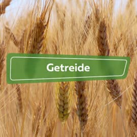 Getreide