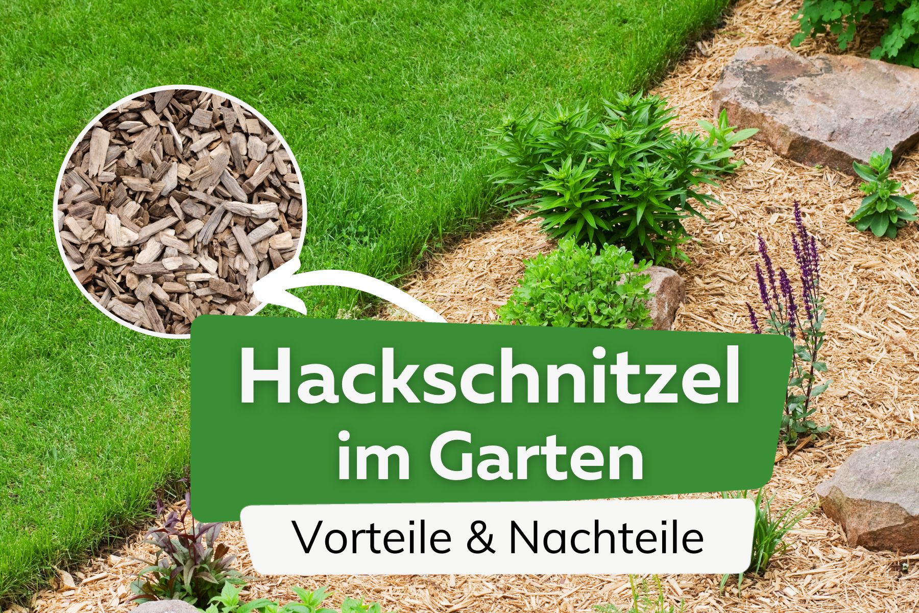 Hackschnitzel im Garten: alle Vor- und Nachteile