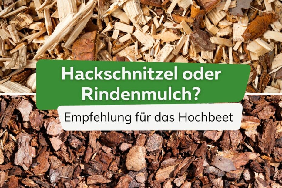 Wann sollte man Rindenmulch auftragen? Wann und wie wird gemulcht?