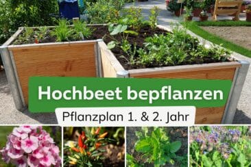 Hochbeet Pflanzplan für 1. und 2. Jahr