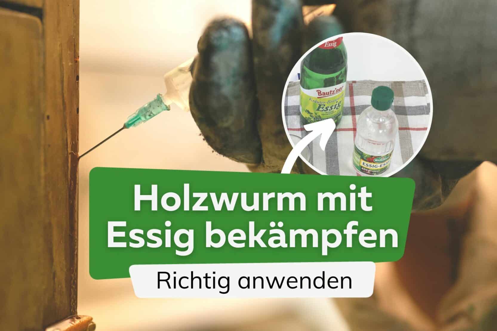 Schne Holzwurm Bekmpfen Essig Ebenbild