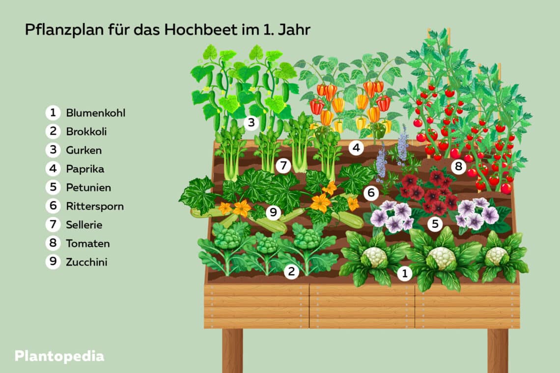 Pflanzplan für das Hochbeet im ersten Jahr