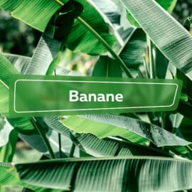 Banane