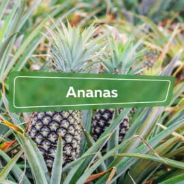 Ananas