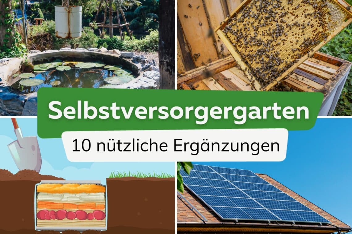 Die 10 besten Ergänzungen für einen Selbstversorgergarten