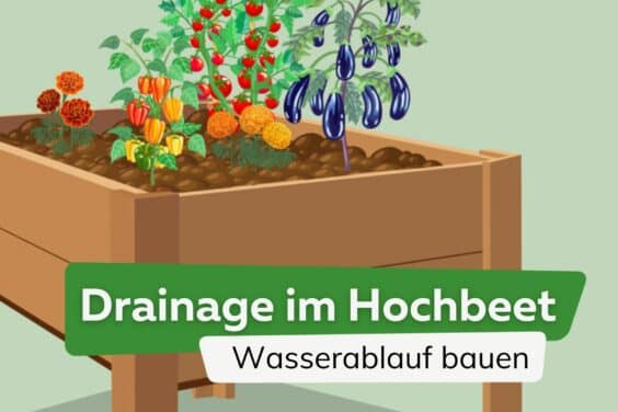 Drainage im Hochbeet: Wasserablauf bauen