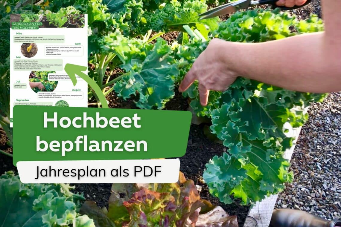 Hochbeet bepflanzen Jahresplan PDF Titel