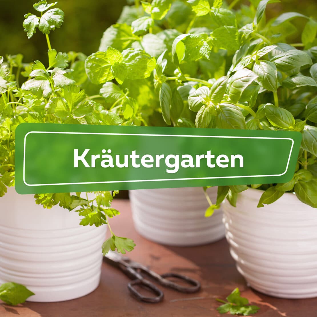 Kräutergarten