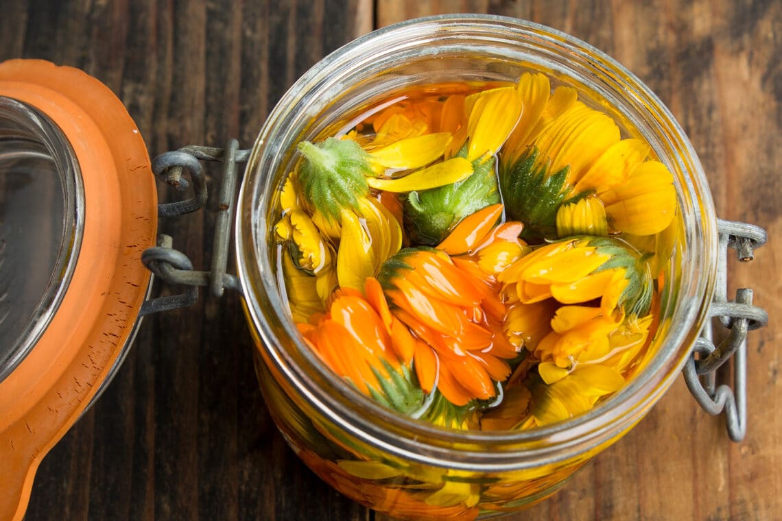 Ringelblumen (Calendula officinalis) Öl in einem Glas