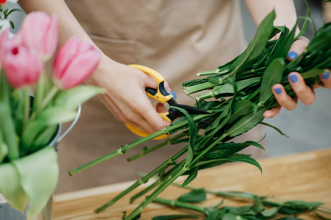 Tulpen Wie Anschneiden
