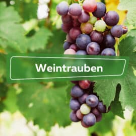 Weintrauben