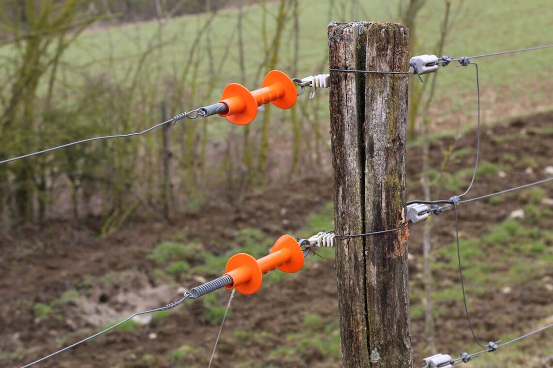 Elektrozaun im Garten