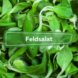 Feldsalat