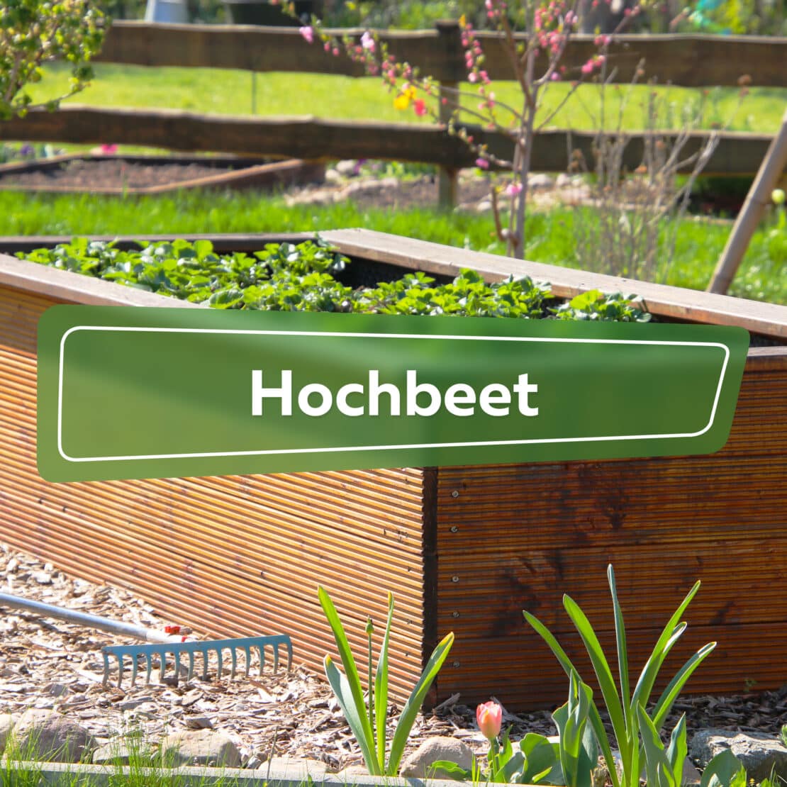 Hochbeet