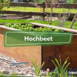 Hochbeet