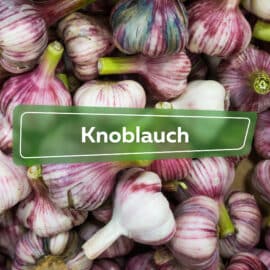 Knoblauch