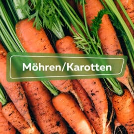 Möhren/Karotten