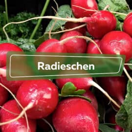 Radieschen