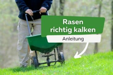 Rasen kalken Anleitung Titel