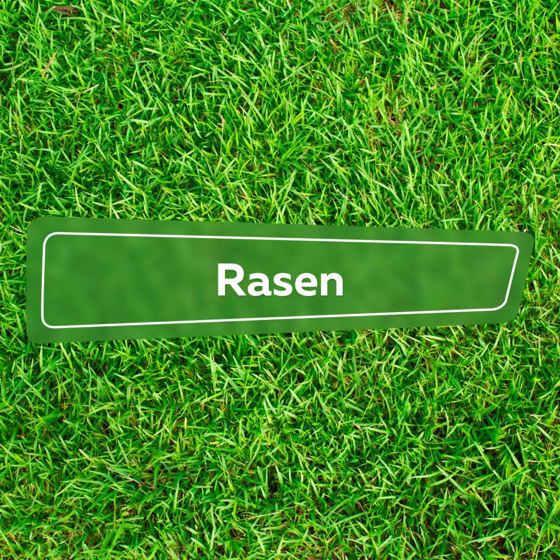 Rasen