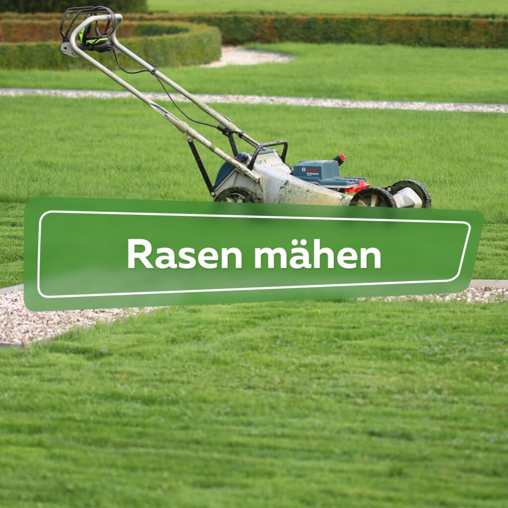 Rasen mähen Ratgeber Hortica