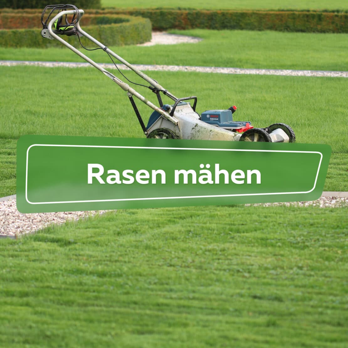 Rasen mähen