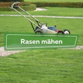 Rasen mähen