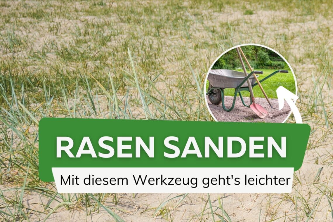 Werkzeuge zum Rasen sanden