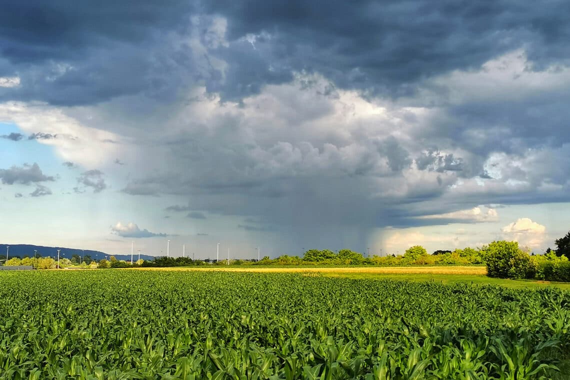 Regenwolken über einem Feld