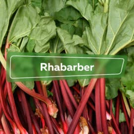 Rhabarber