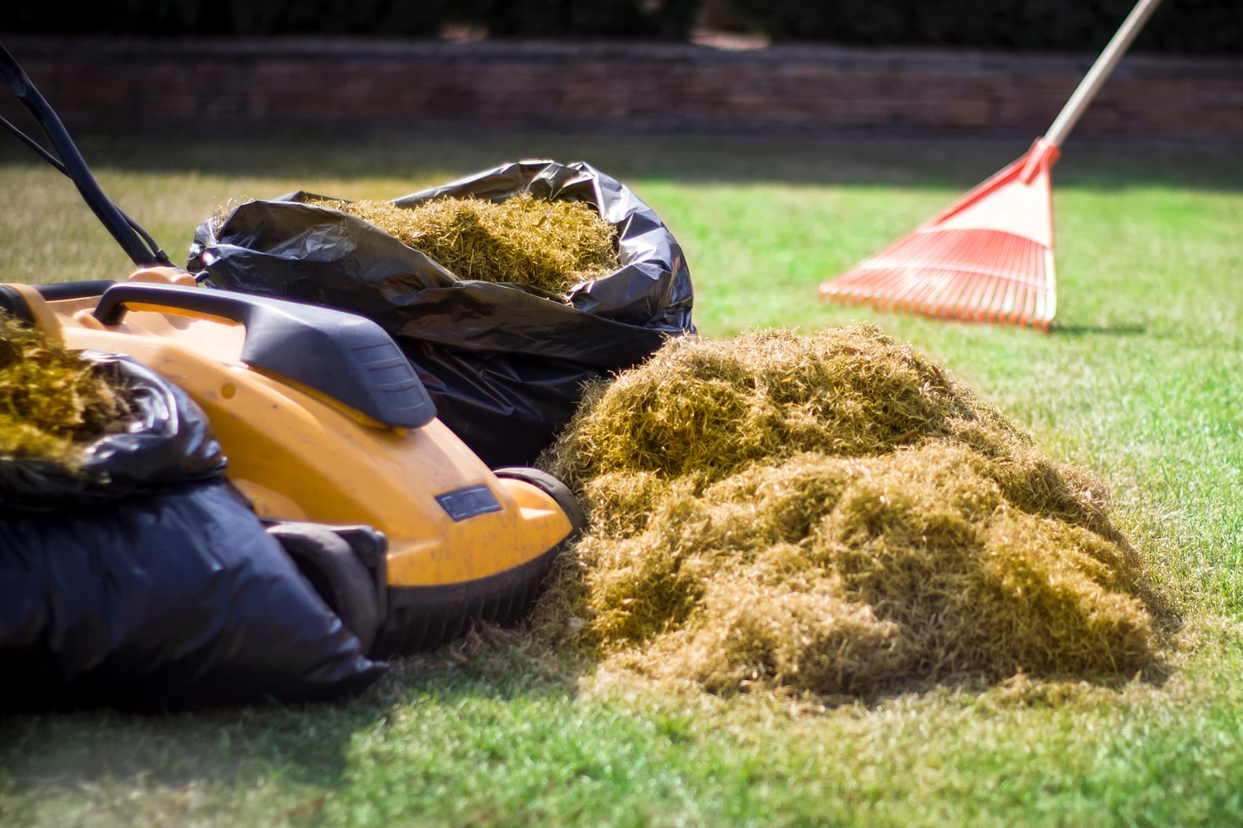 Bausand und Spielsand für Rasen ist das gut?