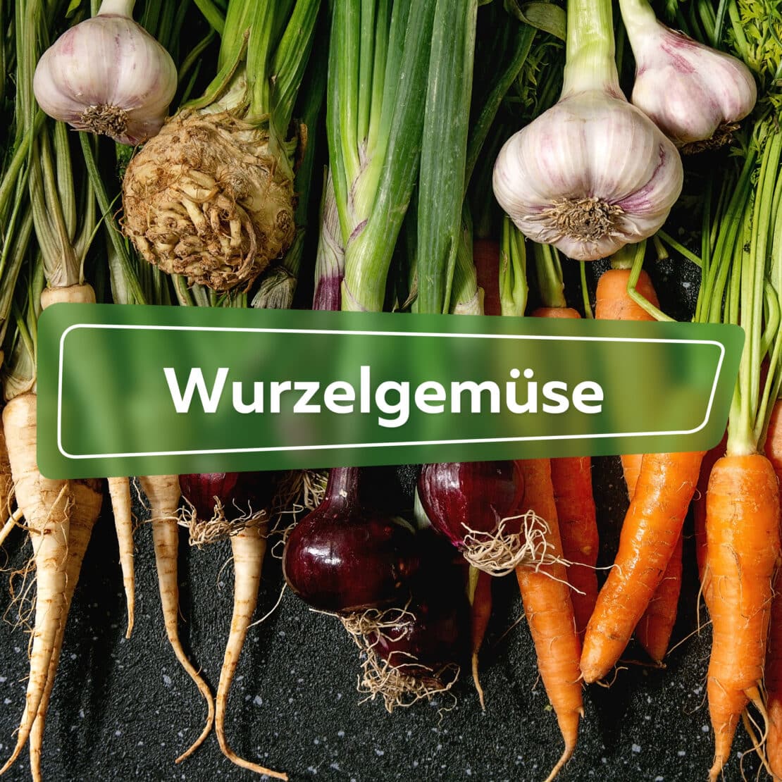 Wurzelgemüse