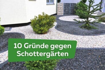 10 Gründe gegen einen Schottergarten