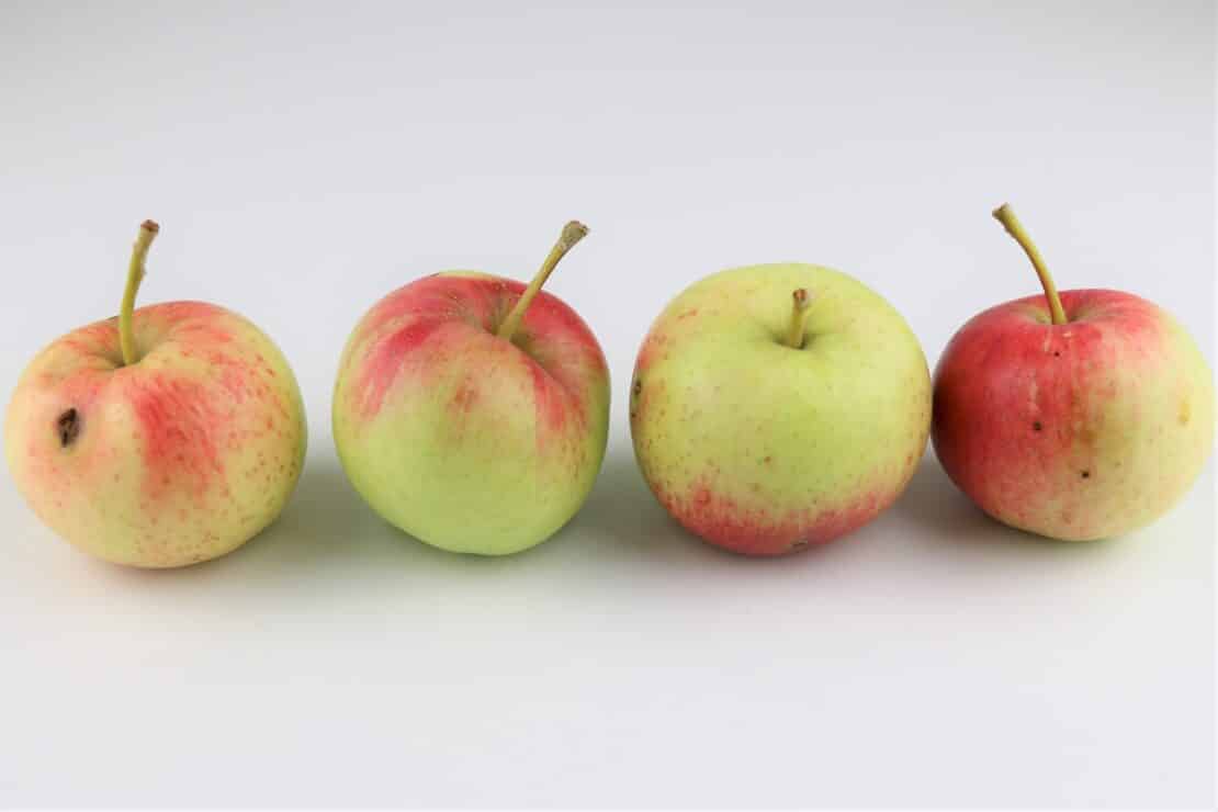 Tafeläpfel: das sind die besten Sorten
