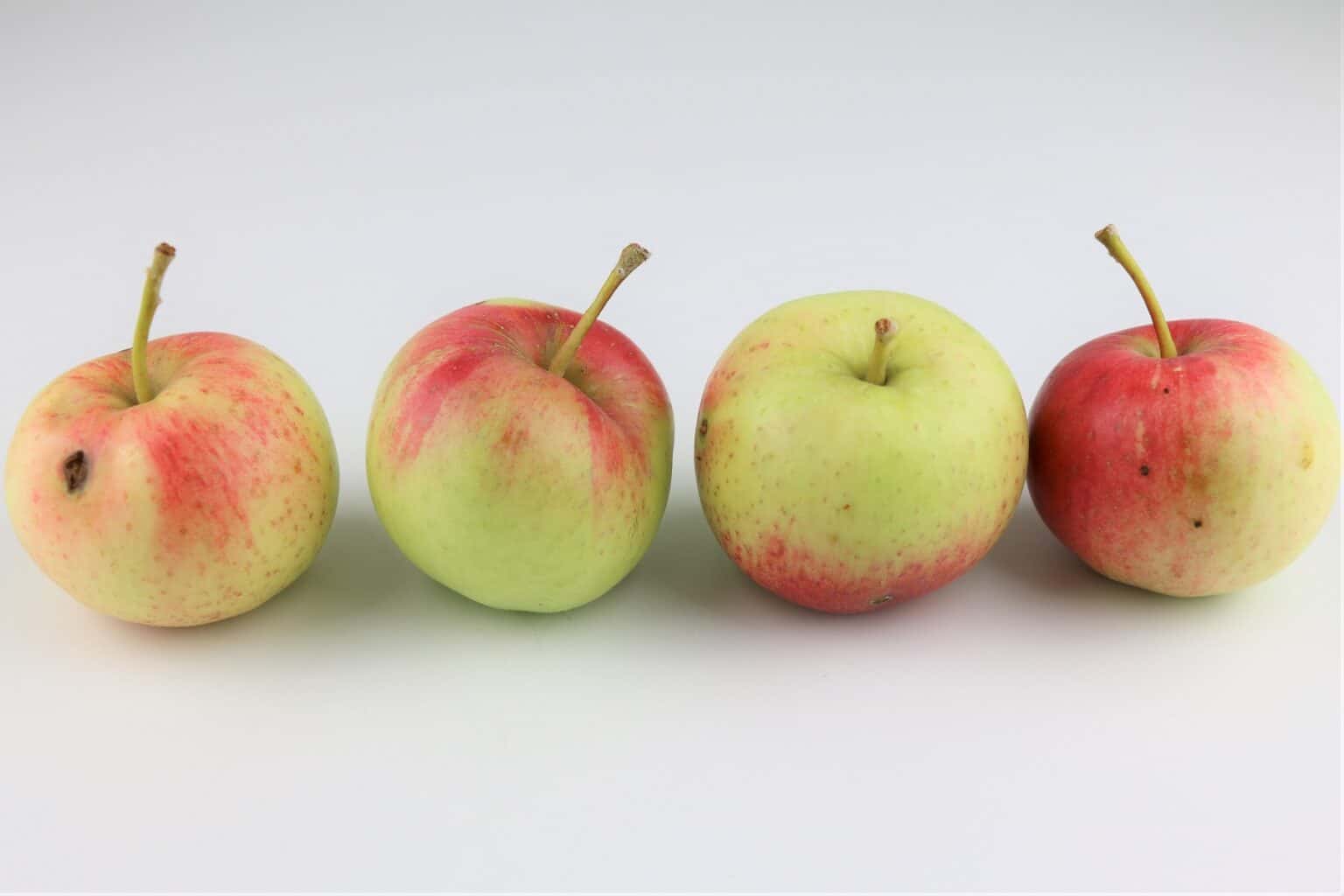 Tafeläpfel: das sind die besten Sorten