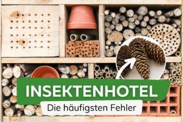 Insektenhotel - Häufige Fehler