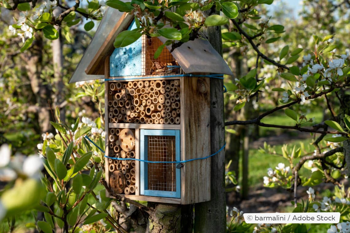 Insektenhotel am Baum