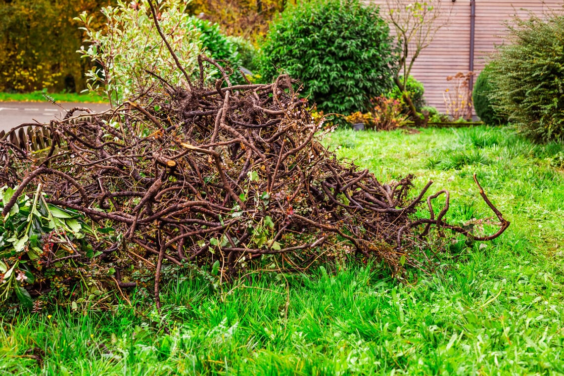 Reisig im Garten