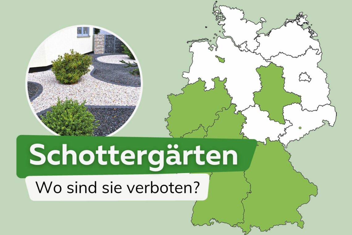 Schottergärten: Wo sind sie verboten?