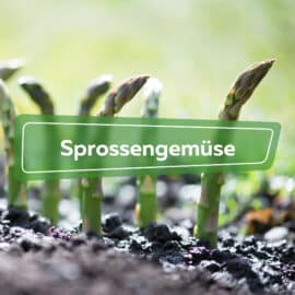 Sprossengemüse