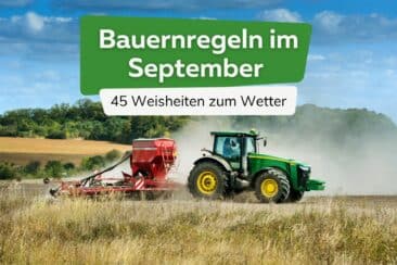 Bauernregeln im September