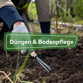 Düngen & Bodenpflege